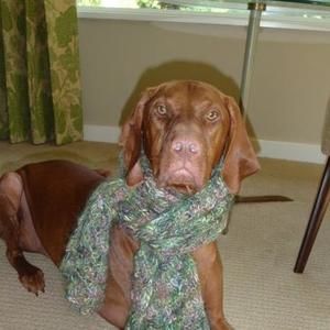 Meet your Posher, Paige